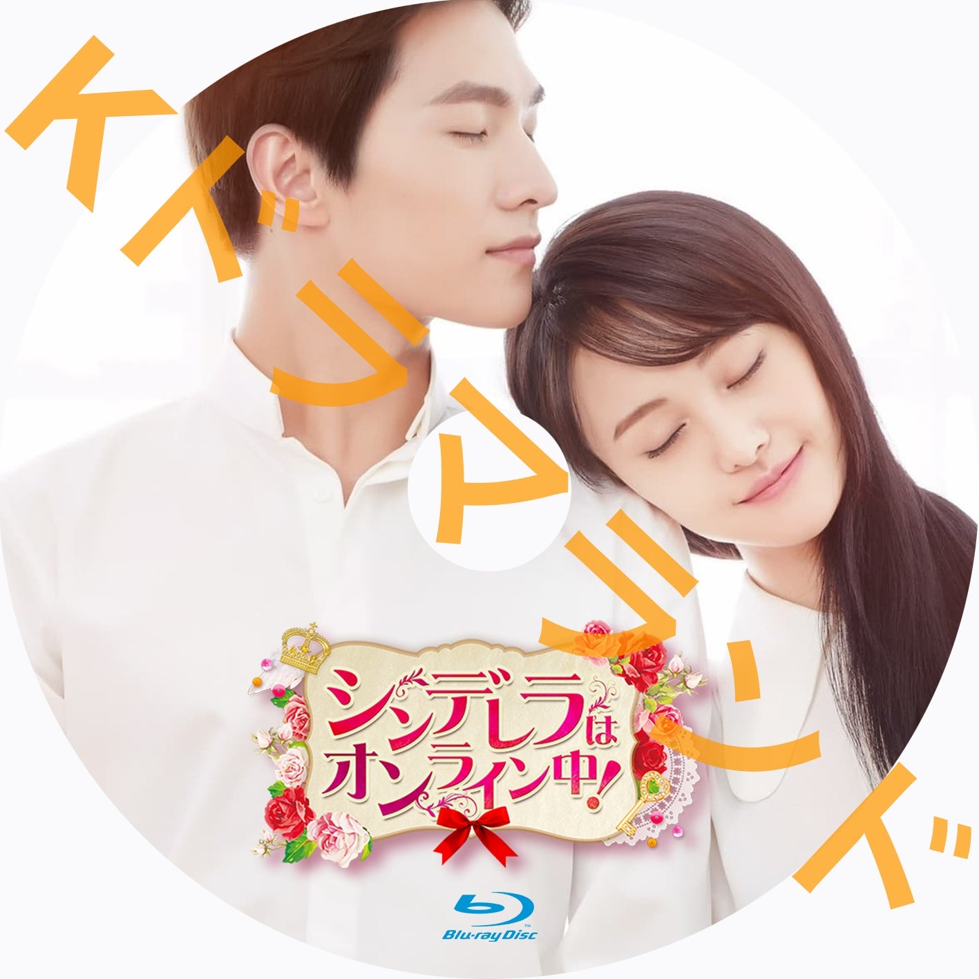 シンデレラはオンライン中!