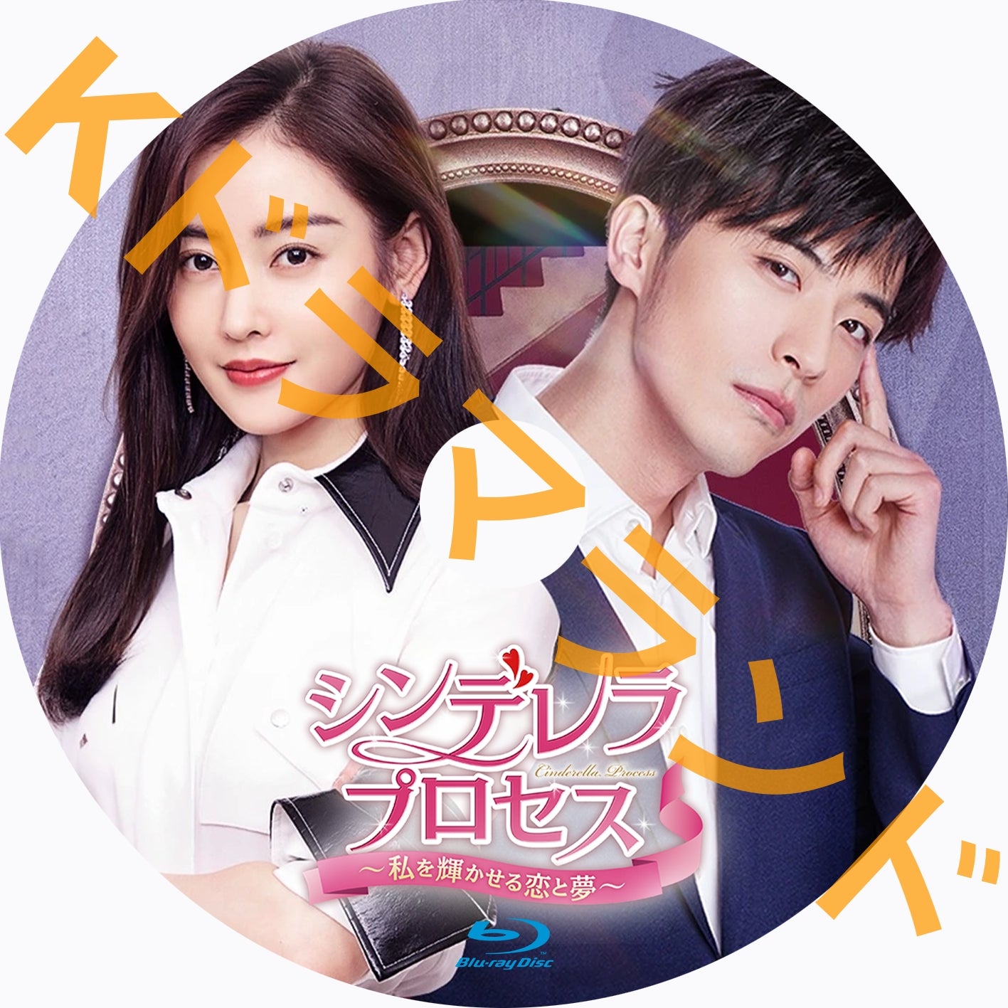 シンデレラ・プロセス~私を輝かせる恋と夢