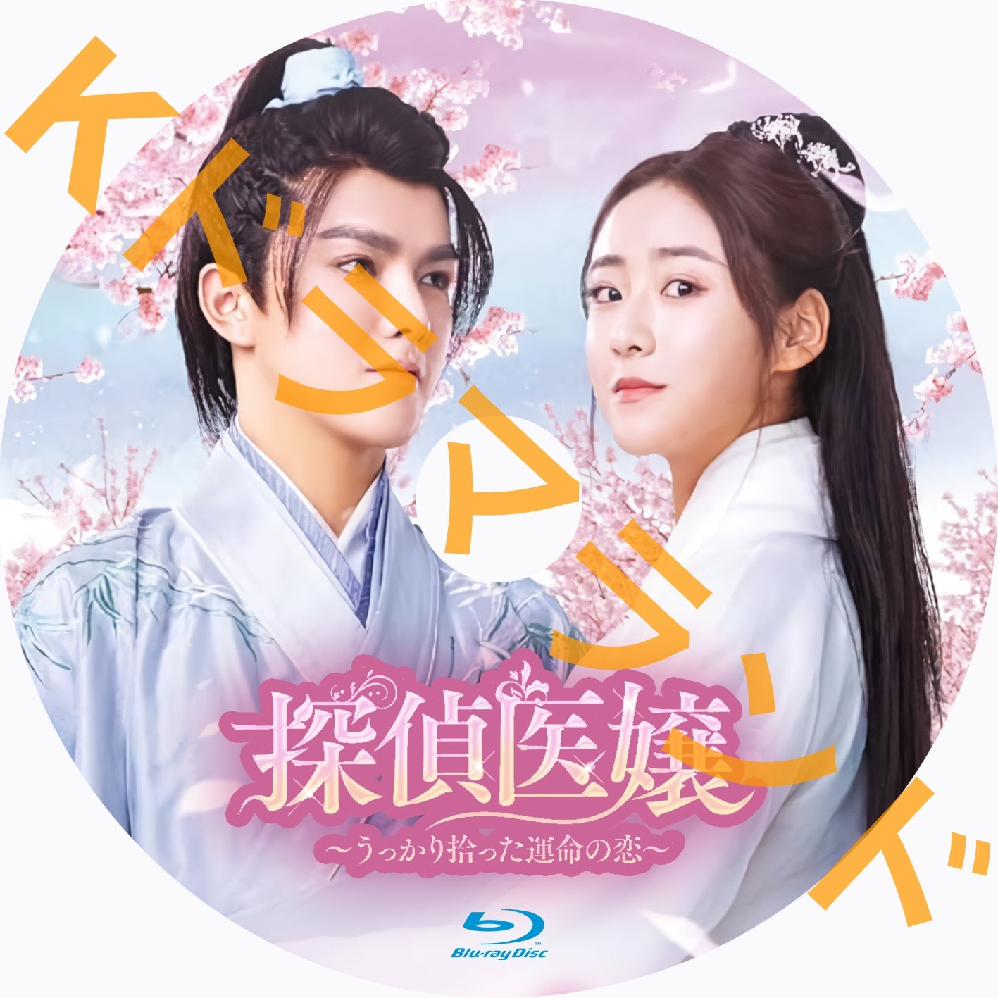 探偵医嬢~うっかり拾った運命の恋
