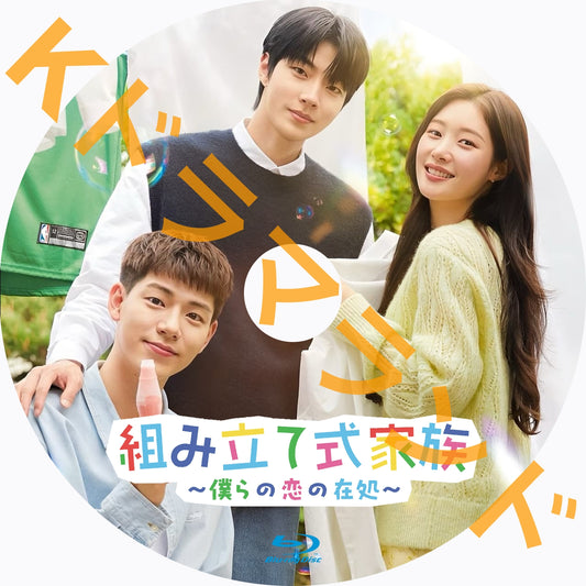 組み立て式家族~僕らの恋の在処