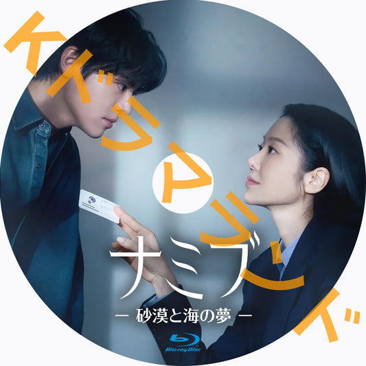 ナミブ ―砂漠と海の夢―