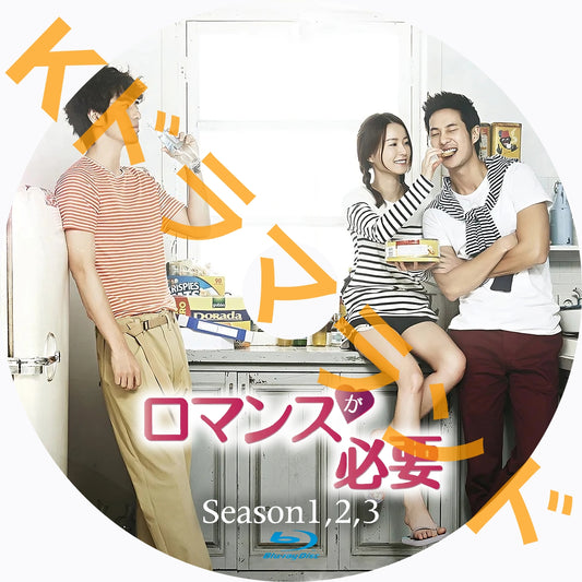 ロマンスが必要(シーズン1,2,3)