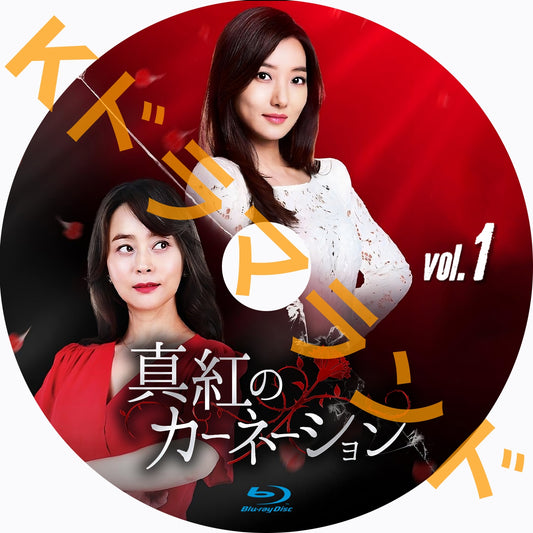 真紅のカーネーション