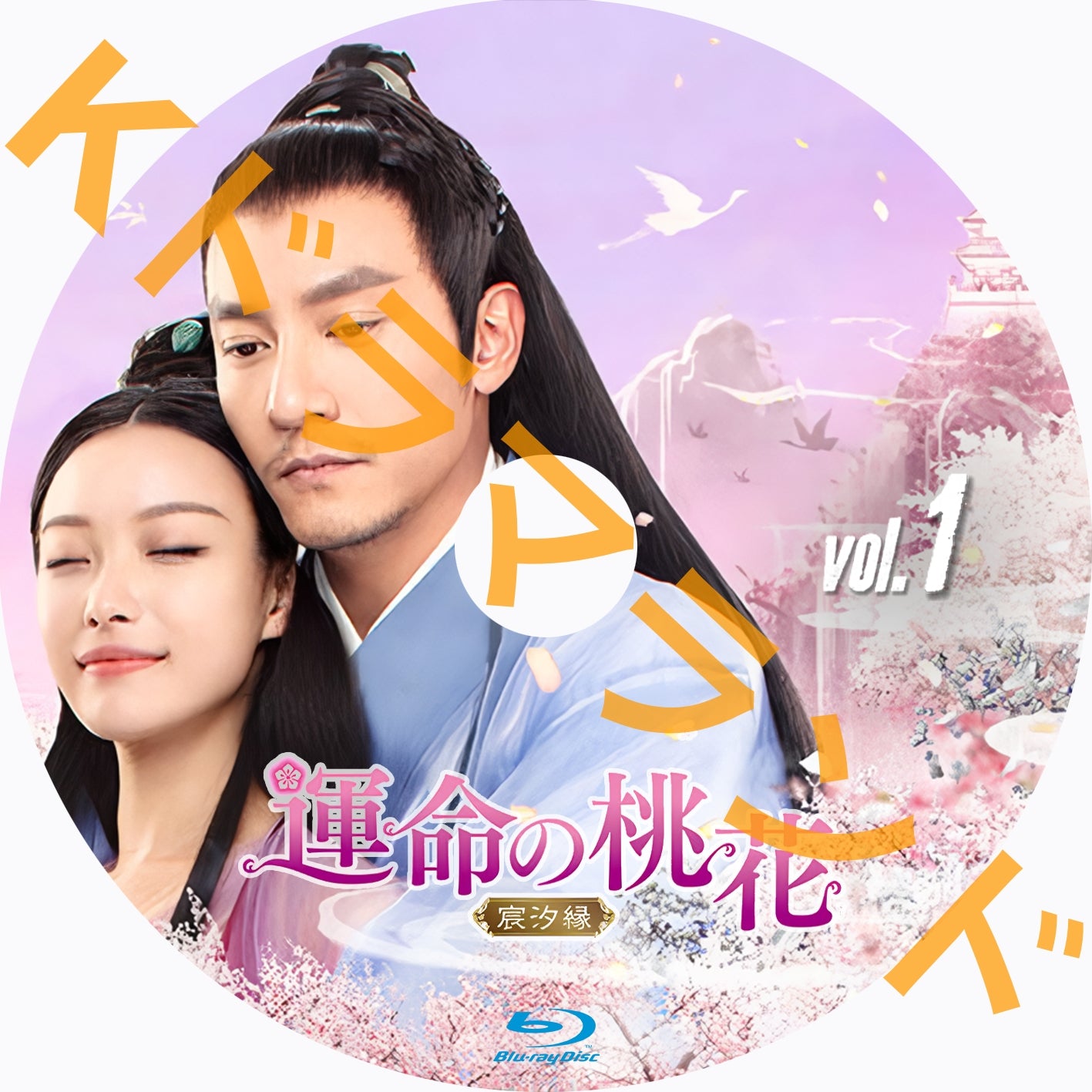 運命の桃花~宸汐縁