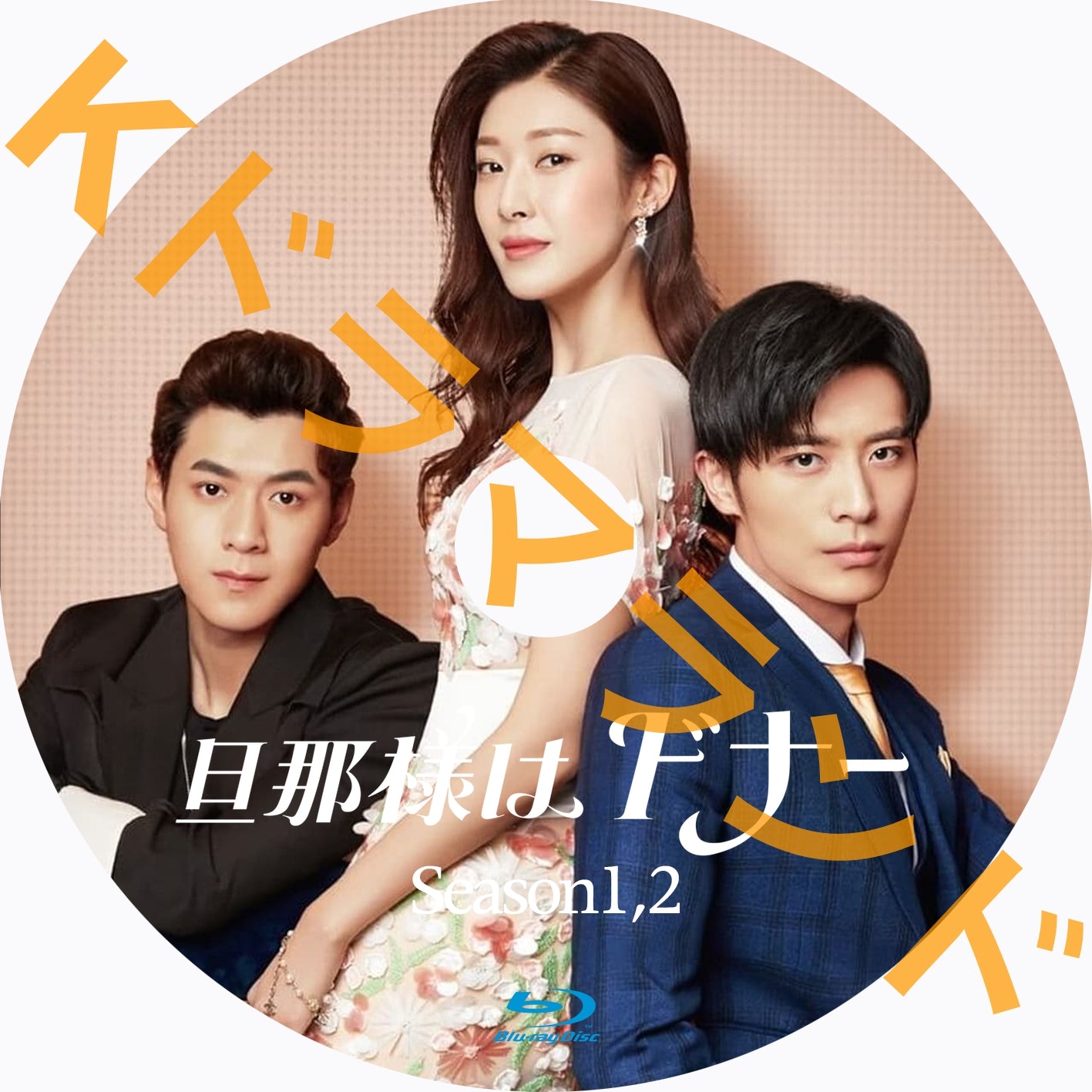 旦那様はドナー シーズン1、2