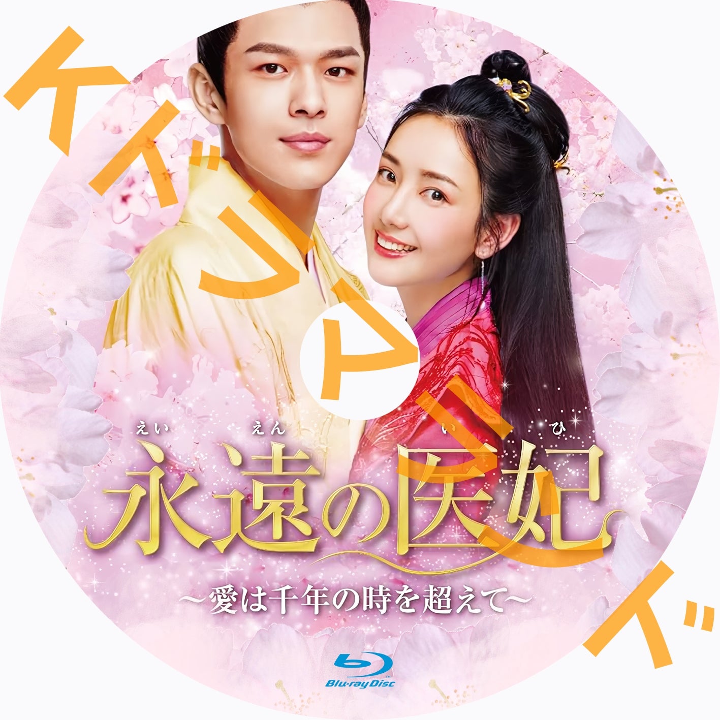永遠の医妃~愛は千年の時を超えて