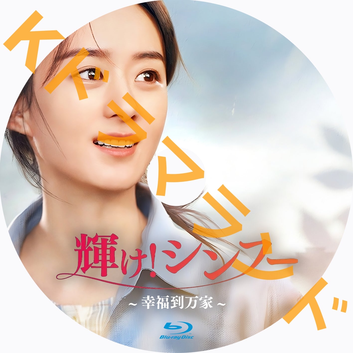 輝け!シンフー~幸福到万家