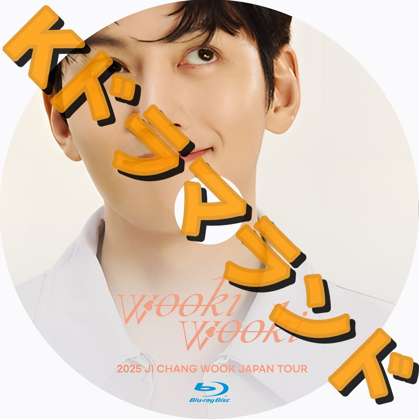 2025 チ・チャンウク Japan Tour -Wooki Wooki-