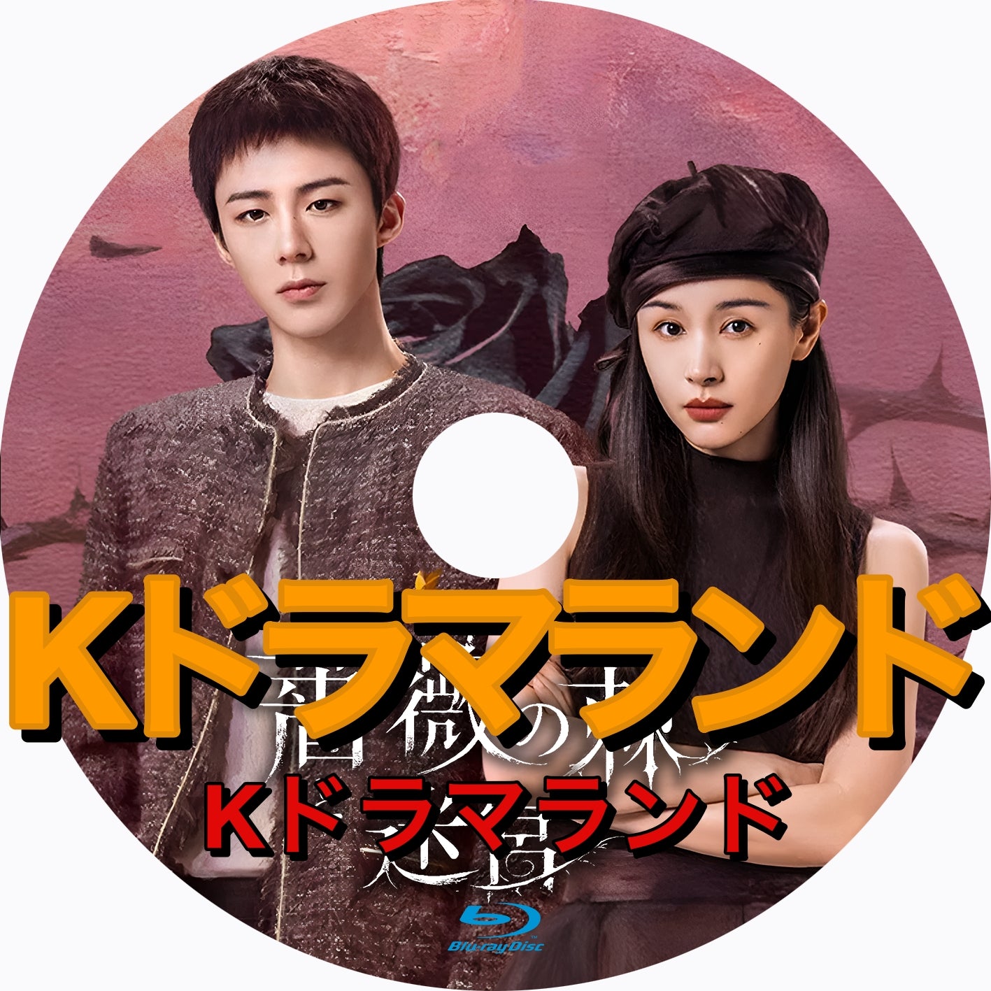 薔薇の棘と迷宮