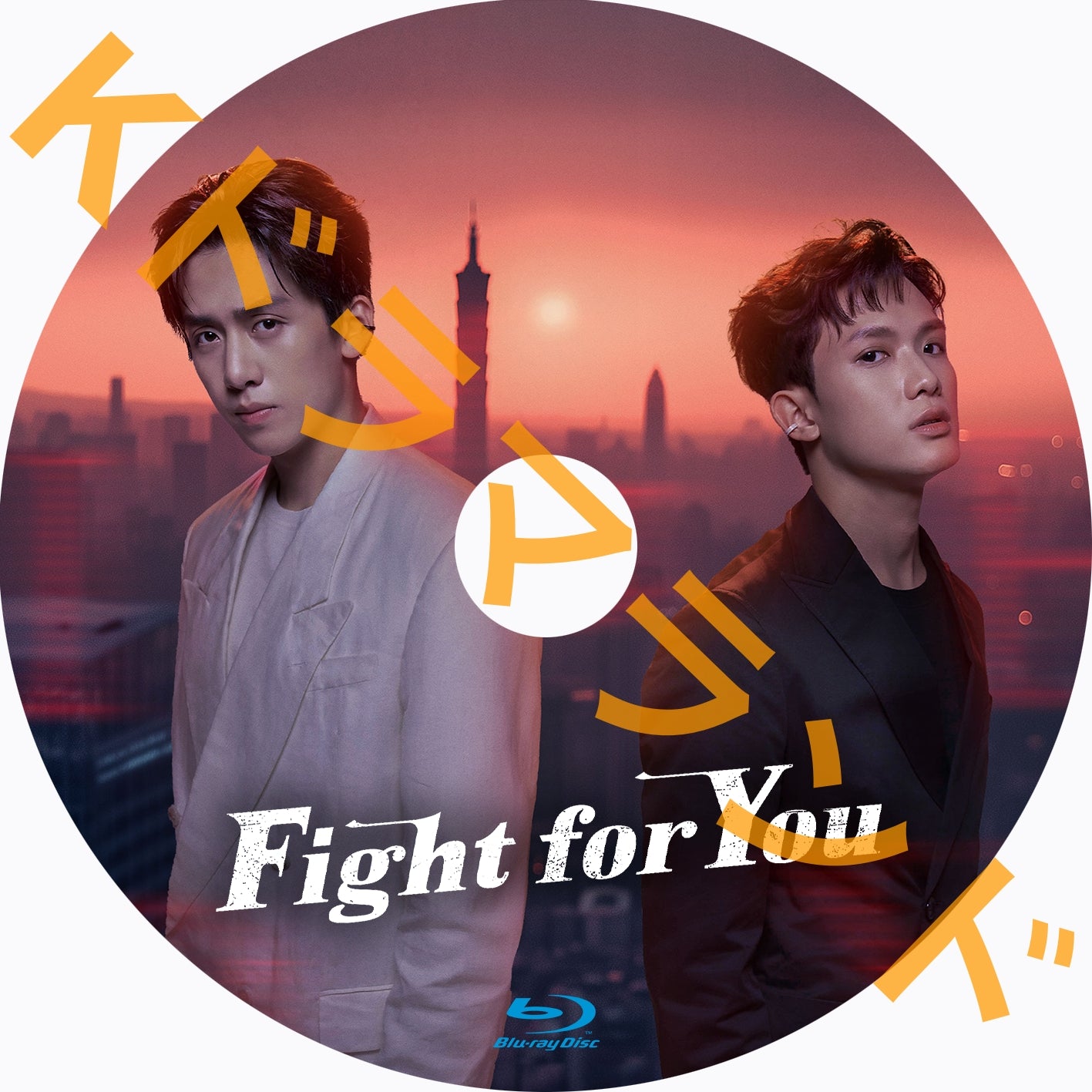 Fight for You