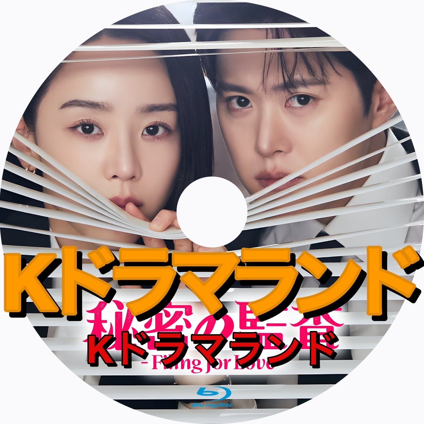 秘密の監査 -Filing for Love- - k-ドラマランド