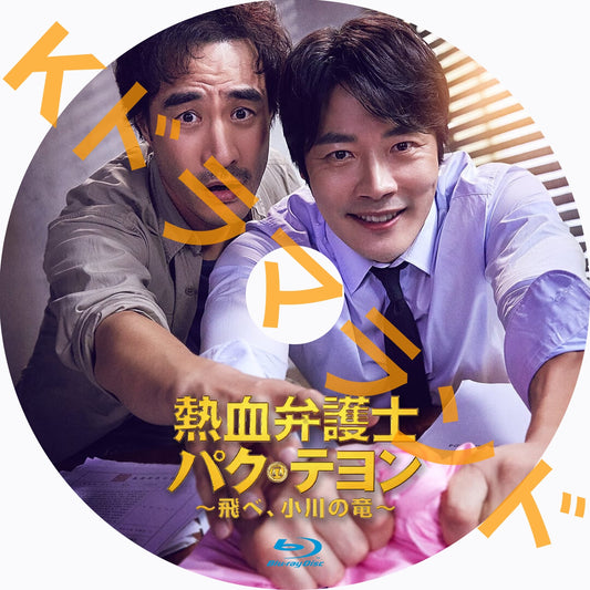 熱血弁護士 パク・テヨン ~飛べ、小川の竜