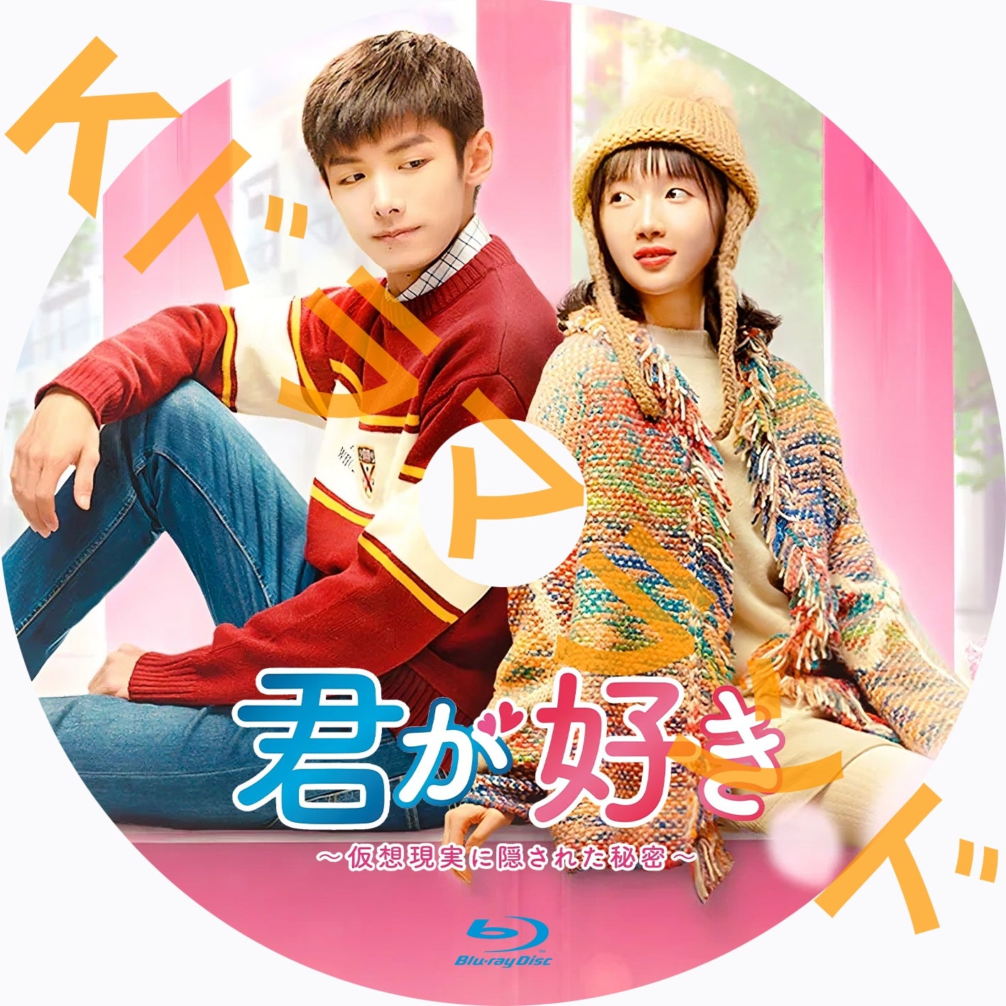 君が好き~仮想現実に隠された秘密