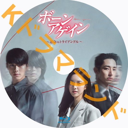 ボーンアゲイン~運命のトライアングル