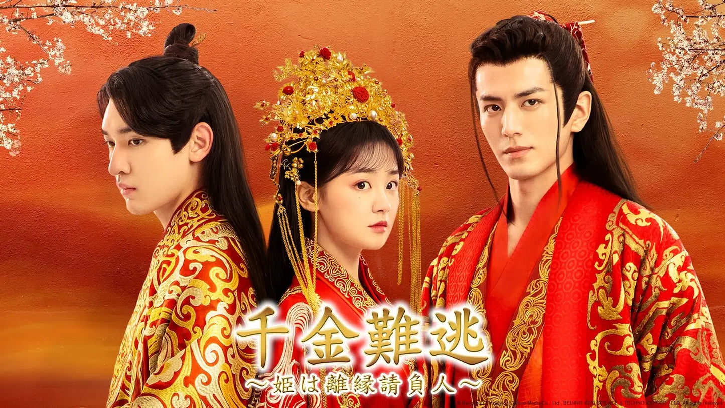 千金難逃~姫は離縁請負人