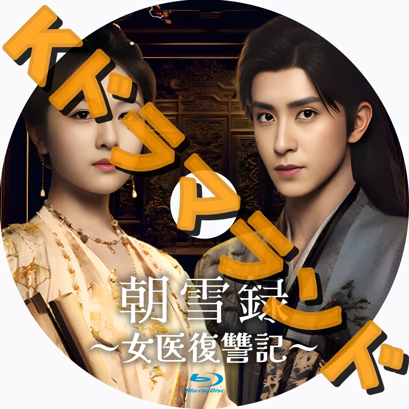 朝雪録~女医復讐記