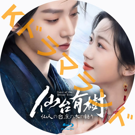 仙台有樹~仙人の台座の木の語り