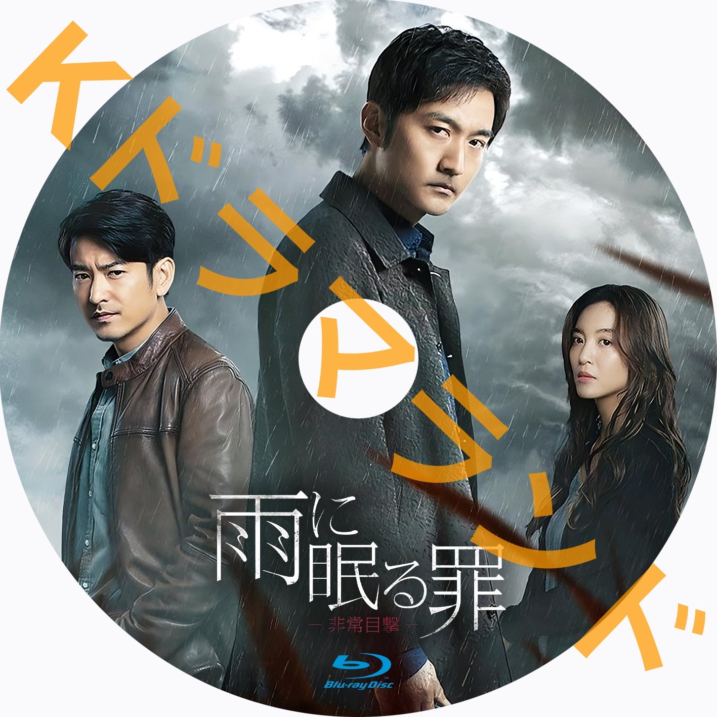 雨に眠る罪-非常目撃-