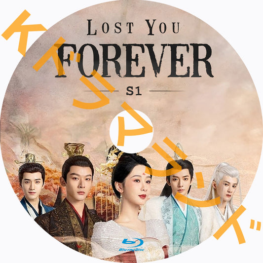 Lost You Forever S1(長相思)