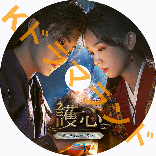 護心～デスティニー・ラブ