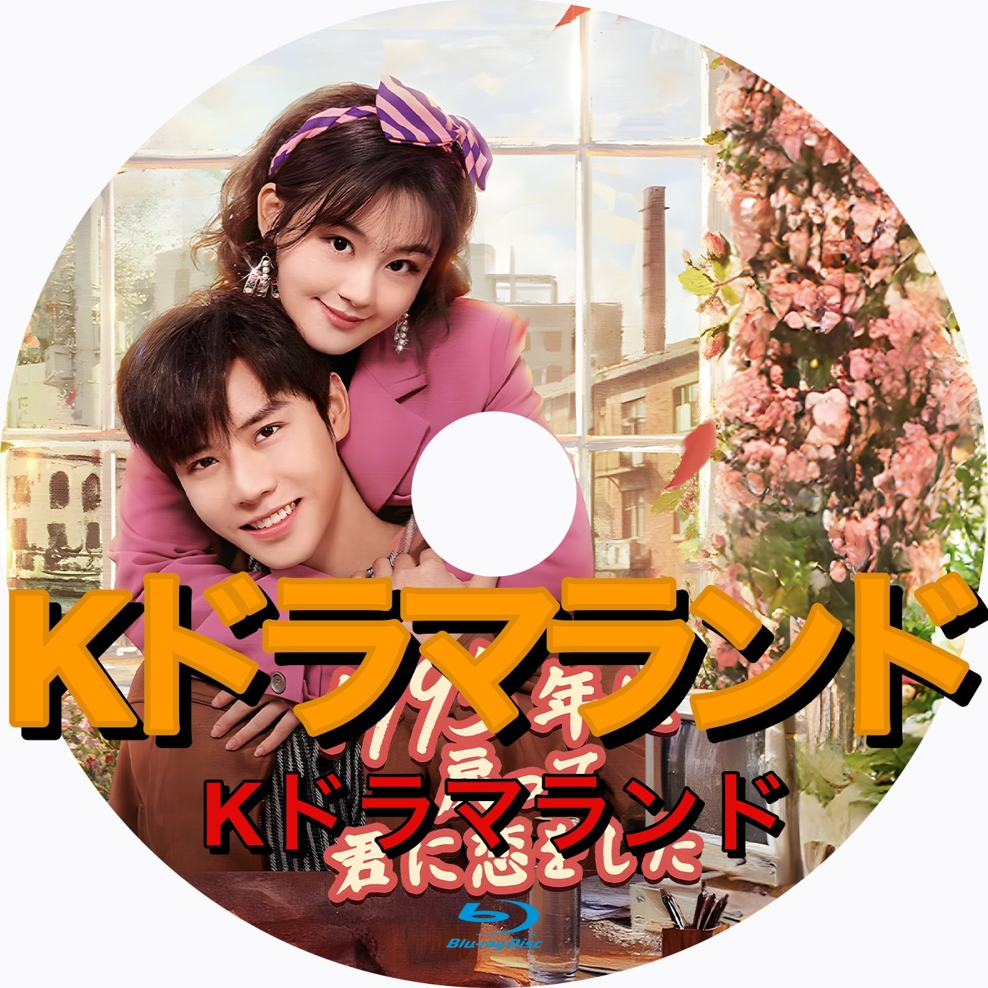 1995年に戻って君に恋をした