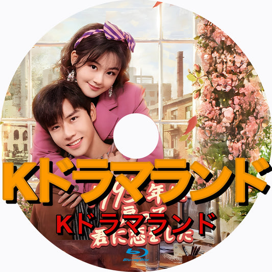 1995年に戻って君に恋をした