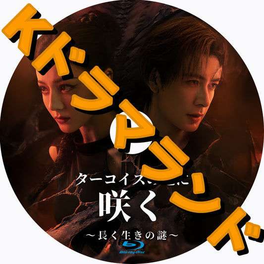 ターコイズの地に咲く〜長く生きの謎