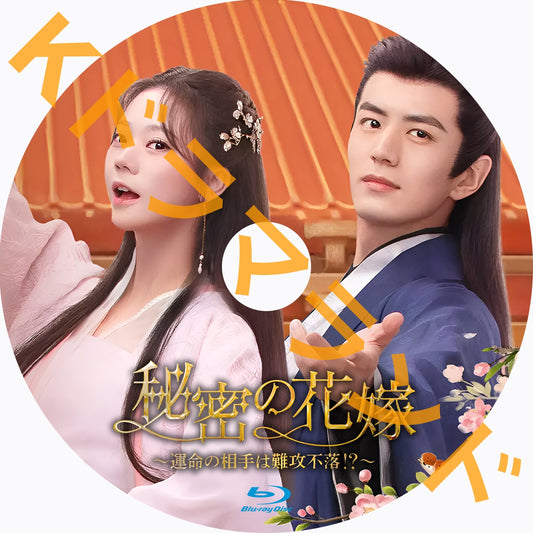 秘密の花嫁〜運命の相手は難攻不落!?
