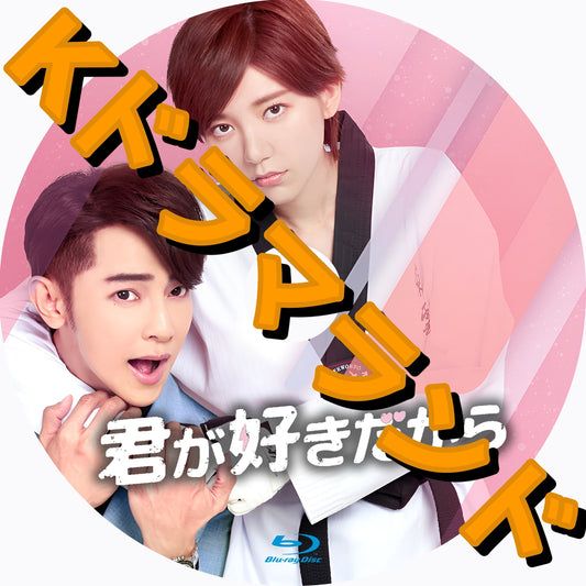 君が好きだから