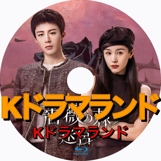 薔薇の棘と迷宮