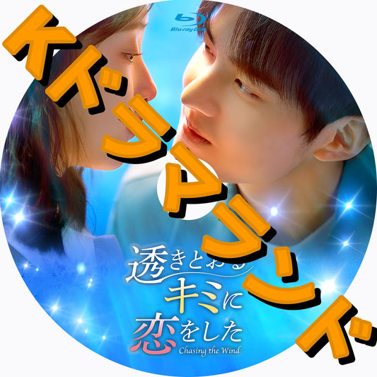 透きとおるキミに恋をした