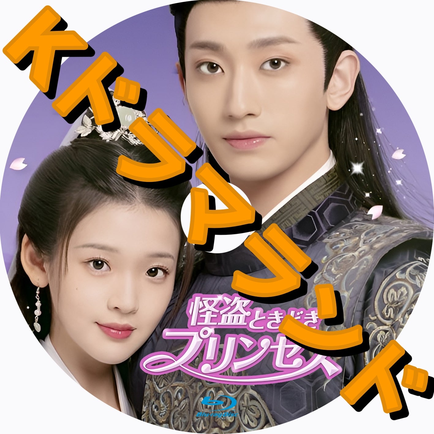怪盗ときどきプリンセス