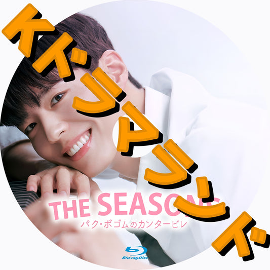 THE SEASONS～パク・ボゴムのカンタービレ