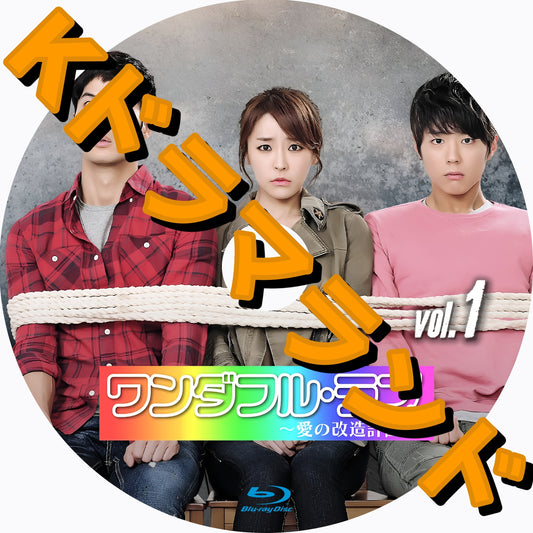 ワンダフル・ラブ～愛の改造計画