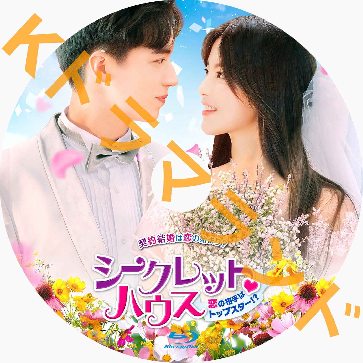 シークレット♡ハウス～恋の相手はトップスター！？