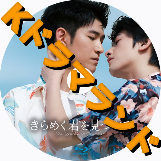 きらめく君を見つめて