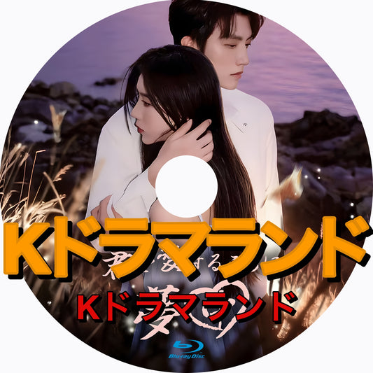 君を愛することに夢中